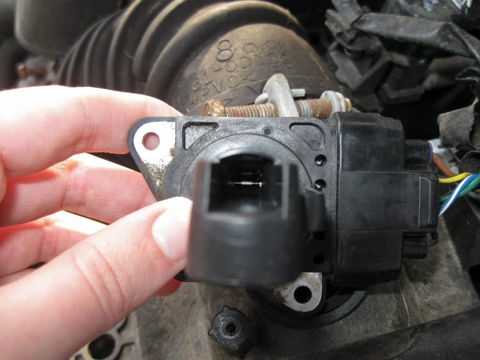 MAF Sensor